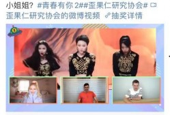 国产视频青,青春记忆中的光影传奇